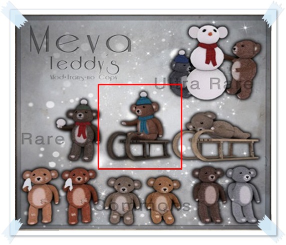 Meva Teddy on sledge 2