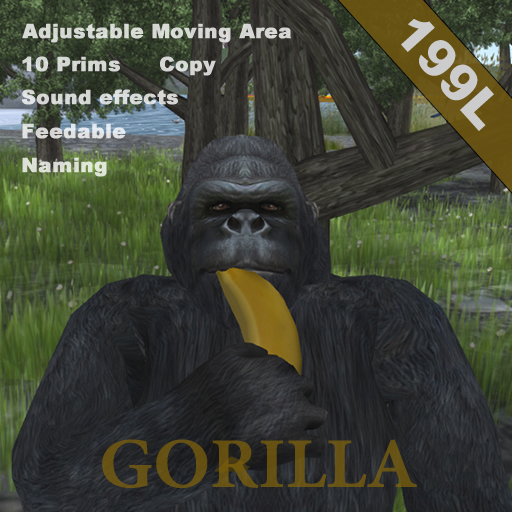 Gorilla_Box