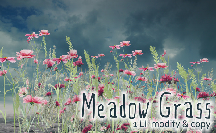 Boudoir Garden -Meadow Grass