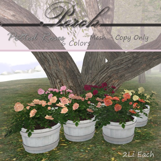Perch - Potted Roses