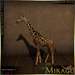 Display smallgiraffedecor africanspice