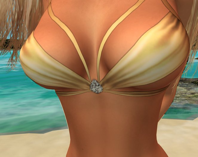 ‡(Jayne's Back Rack) Elegant Gold Barely There Outfit