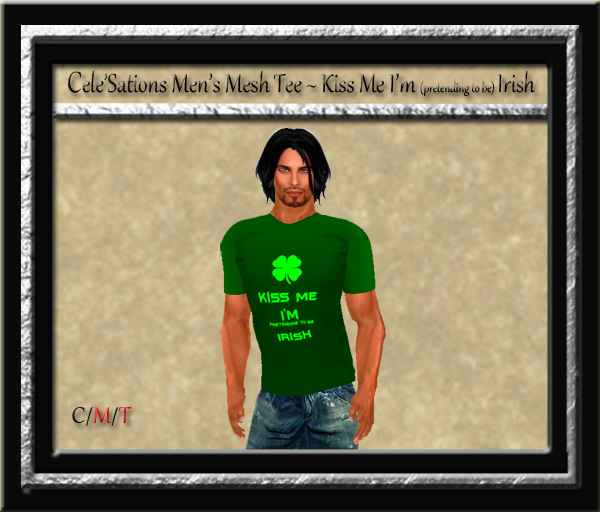 Cele'Sations Men's Mesh Tee ~ Kiss Me Pretending Irish  Pk