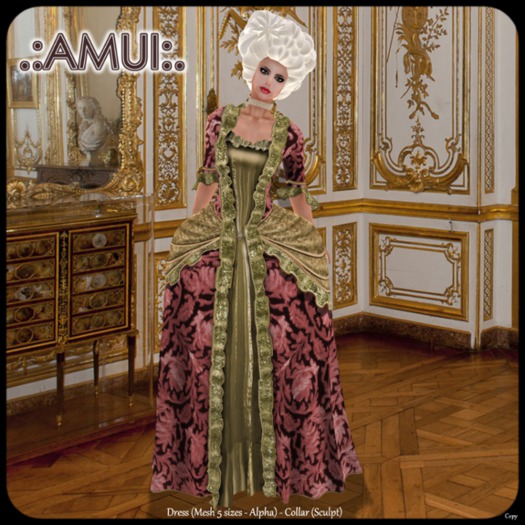 .:AMUI:. Robe a la Francaise S,XVIII 006
