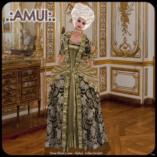 .:AMUI:. Robe a la Francaise S,XVIII 005