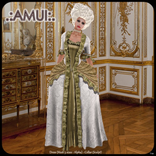 .:AMUI:. Robe a la Francaise S,XVIII 003
