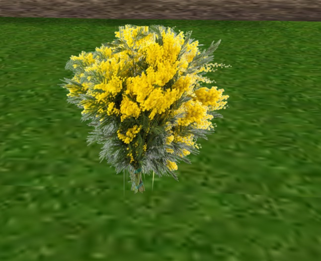 plant decoratif