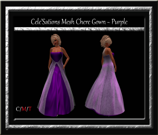 Cele'Sations Chere Mesh Gown ~ 