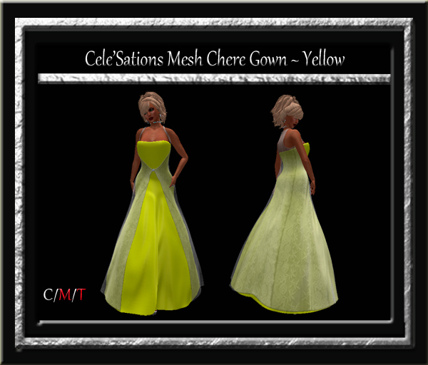 Cele'Sations Chere Mesh Gown ~ 
