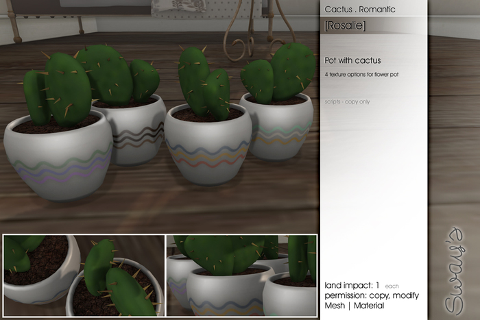 Sway's [Rosalie] Cactus