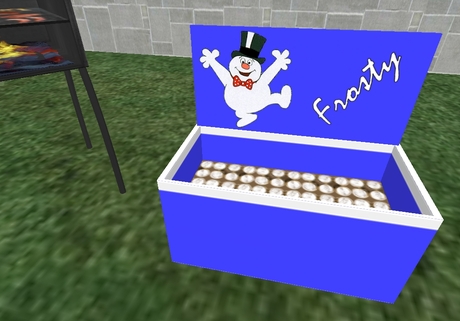 cooler box second