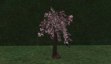 Pink Spring Tree ((FS)) 7 prims