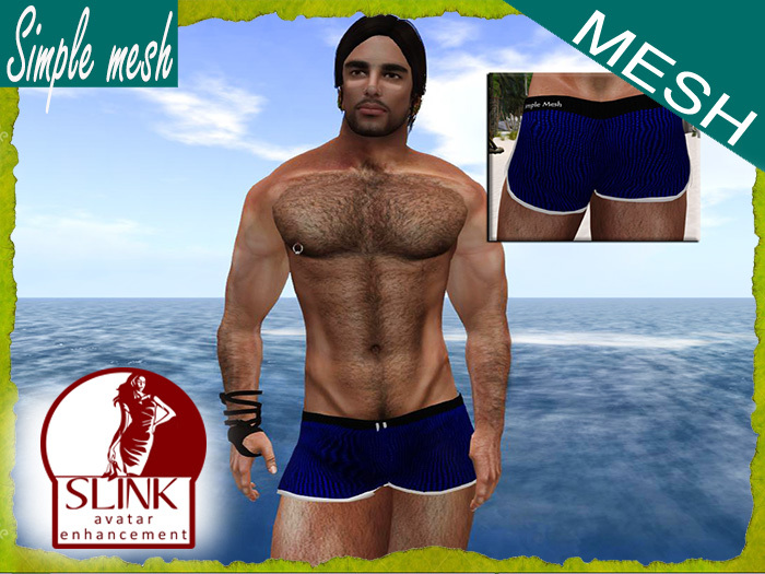 SM Blue Sport Short SLINK