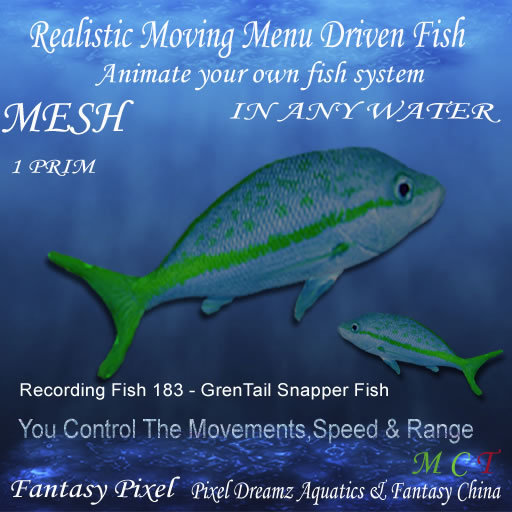 Realistic Moving Menu Driven Fish YOU CONTROL - Recording Fish 183 - GrenTail Snapper Fish