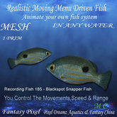 Realistic Moving Menu Driven Fish YOU CONTROL - Recording Fish 185 - Blackspot Snapper Fish