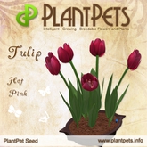 PlantPet Seed [Tulip *Hot Pink*] common Release Day 29.06.2015
