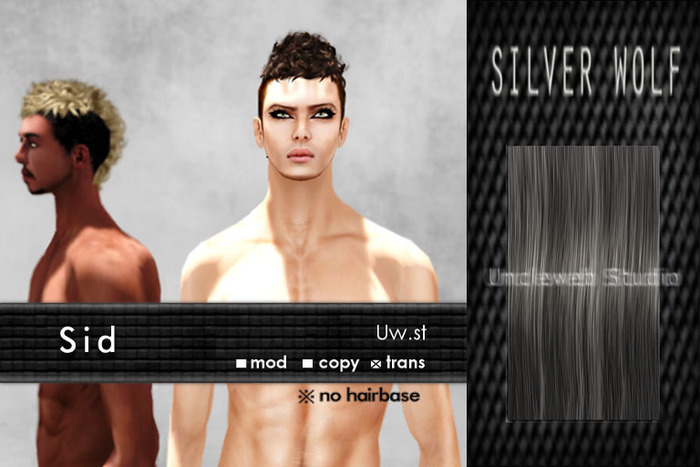 Uw.st   Sid-Hair  Silver wolf