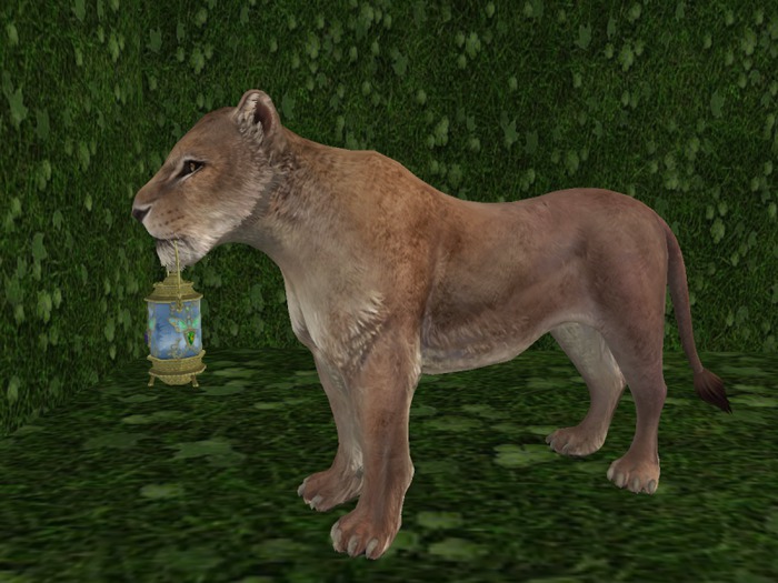 *Xtal* Lioness Pathlight