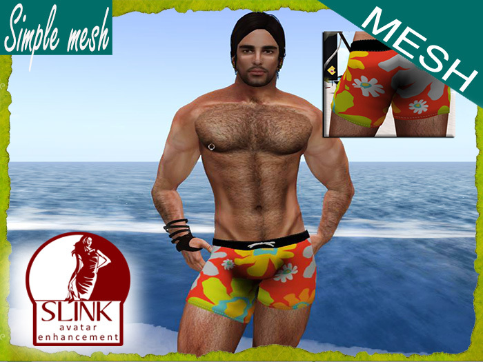 SM Colorful Surfer Shorts SLINK