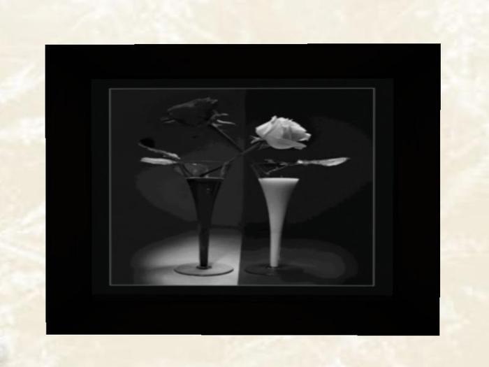 Roses Black & White