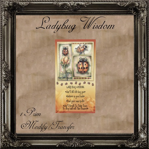 Ladybug Wisdom