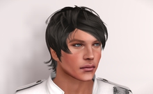 eDeLsToRe man mesh hair " Zatto " all 12 color HUD incl edit version (Special Rigged Fitted Mesh Hair)