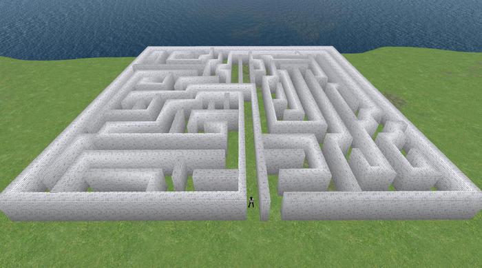TM Maze (mesh)