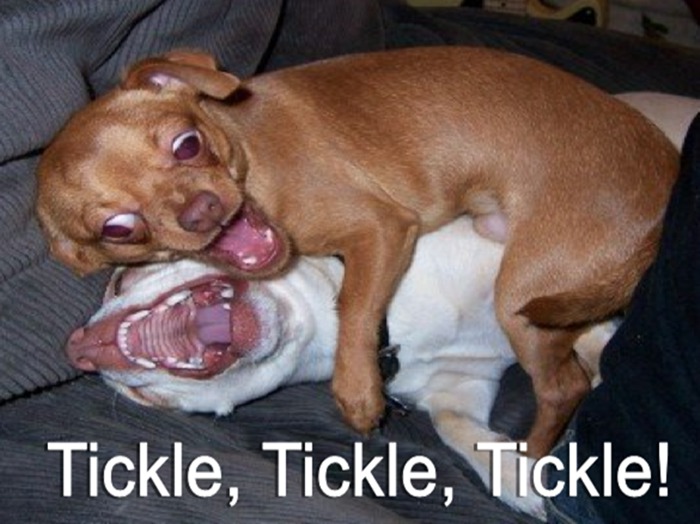 Tickle, Tickle, Tickle