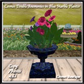 Double Anemonies in Blue Marble Planter