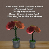 Rose Pot Coral, Apricot, Lemon Med & Sm