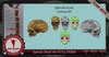 Special skull set full permission