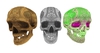 Special skull 002