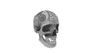 Special skull 004