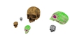 Special skull 008