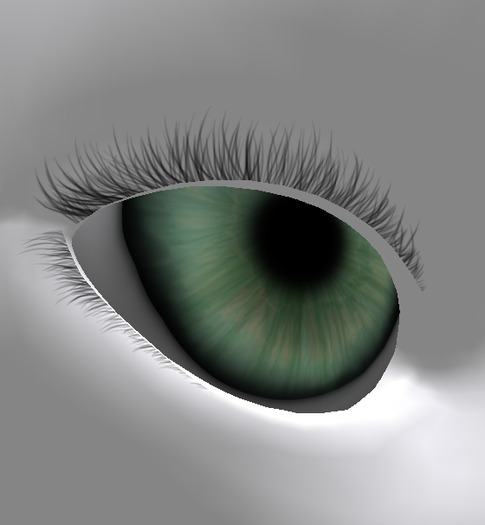 deS. HouseCat Super Soft Lashes