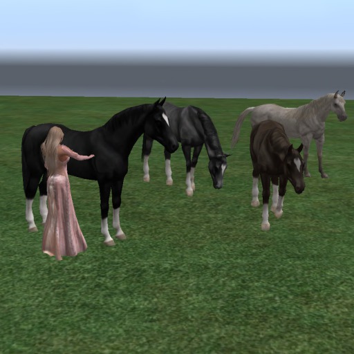 *Xtal* Herd of Horses with 4 poses & approach sounds