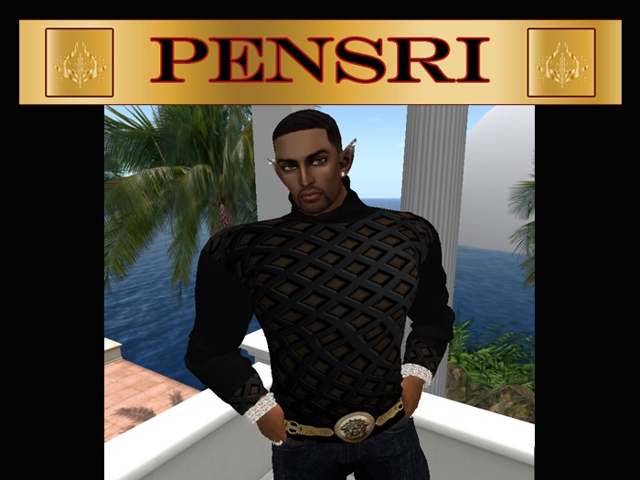 PENSRI V SQUARE DESIGNER SWEATER