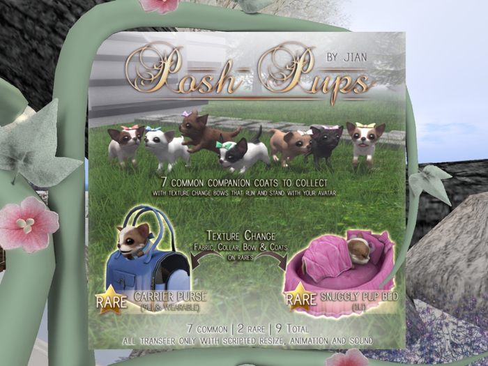 JIAN Posh Pups :: Brown (BOX)