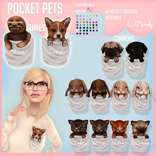 .Birdy. Pocket pet {Corgi} [BOX] RARE