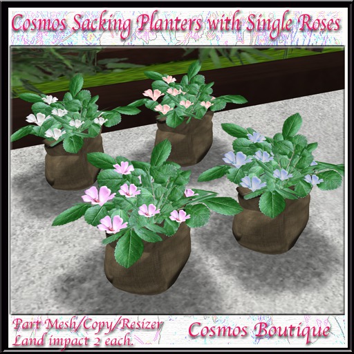 Cosmos Sacking Planters with Single Roses PART MESH (Box)