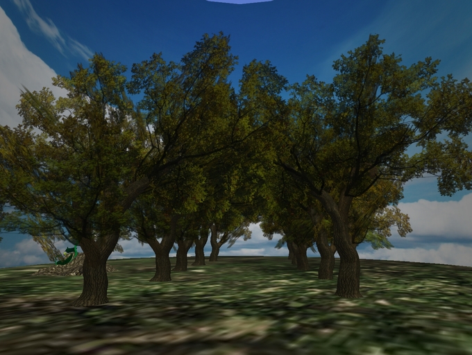 Lane of Aok Trees 