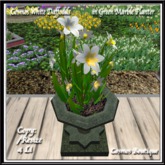 Cosmos White Daffodils in Green Marble Planter BOX