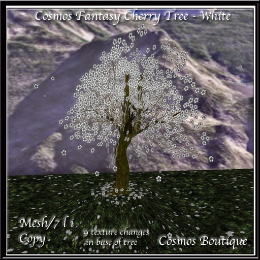 Cosmos Fantasy Cherry Tree - White (BOX)