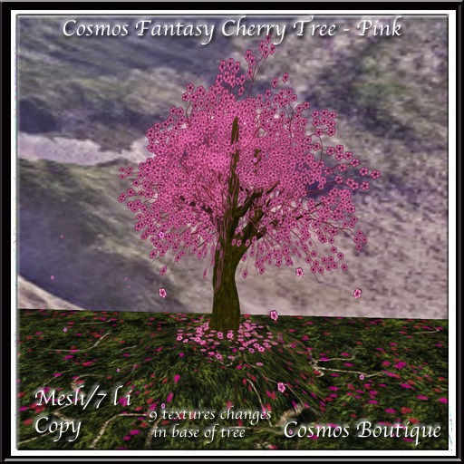 Cosmos Fantasy Cherry Tree - Pink (BOX)