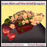 Cosmos Hearts and White Orchids for my Love (BOX)
