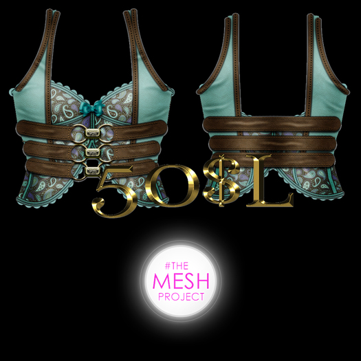 Teal and brown paisley corset