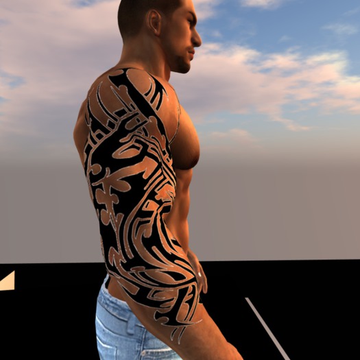 TRIBAL ARMS 3