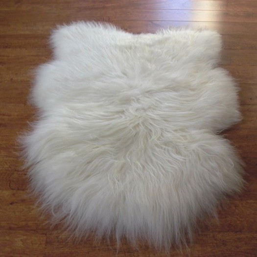 Texture Carpet white fur