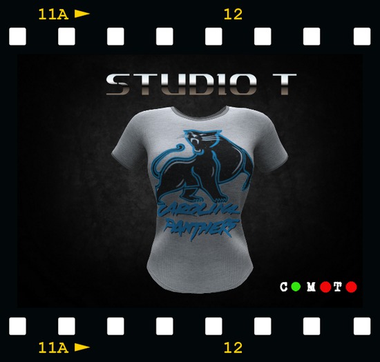 Womens Mesh Tee - PANTHERS4