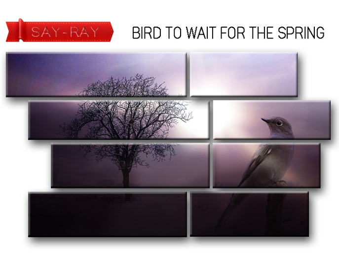 [SR]wall art  Bird to wait for the spring